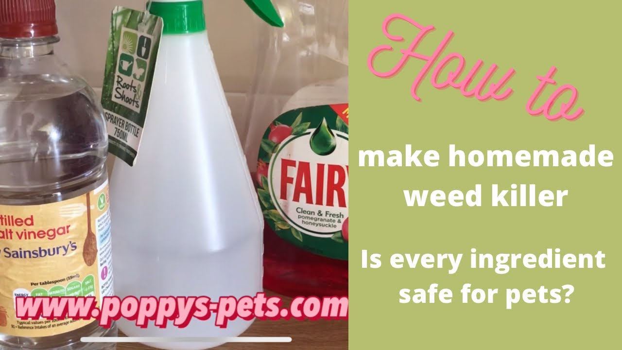 'Video thumbnail for How to Make Your Own Weed Killer and is it Toxic or Safe for Pets?'