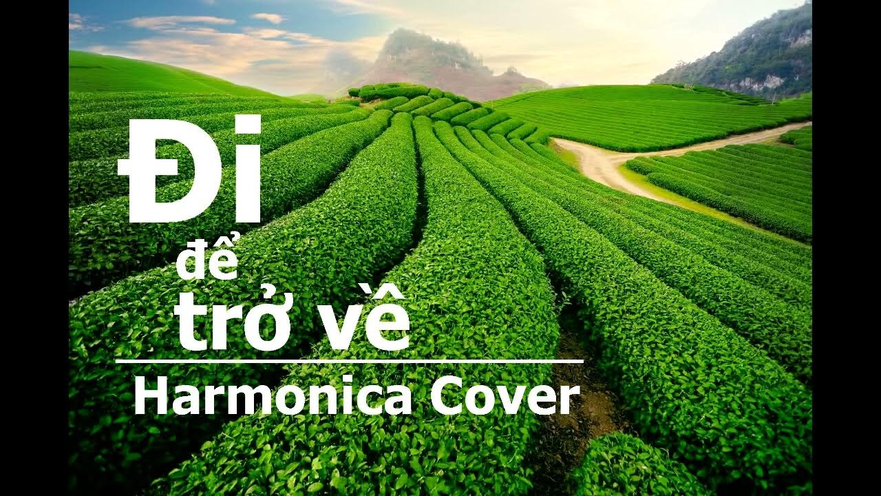 Video thumbnail for Đi để trở về Harmonica Tabs - Harmonica Cover