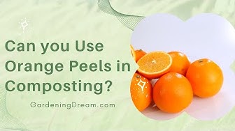 Video thumbnail for Can you Use Orange Peels in Composting?
