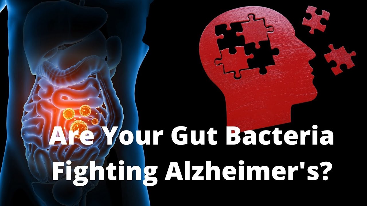'Video thumbnail for Could Your Gut Flora Be Causing Your Alzheimer's'