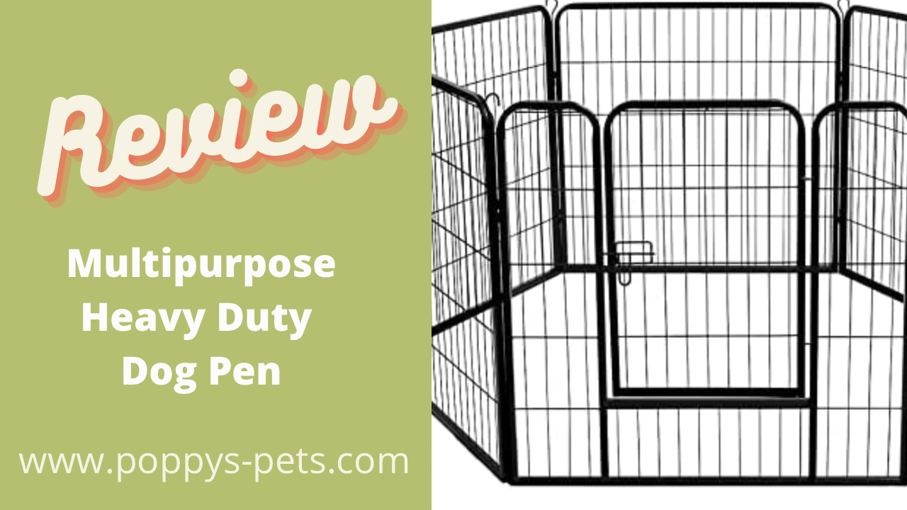 'Video thumbnail for Best Strong Multi-Purpose Pen for Dogs, Young Dogs, Rabbits, Gardens'