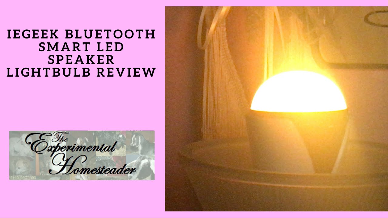 Video thumbnail for ieGeek Bluetooth Smart LED Speaker Lightbulb Review