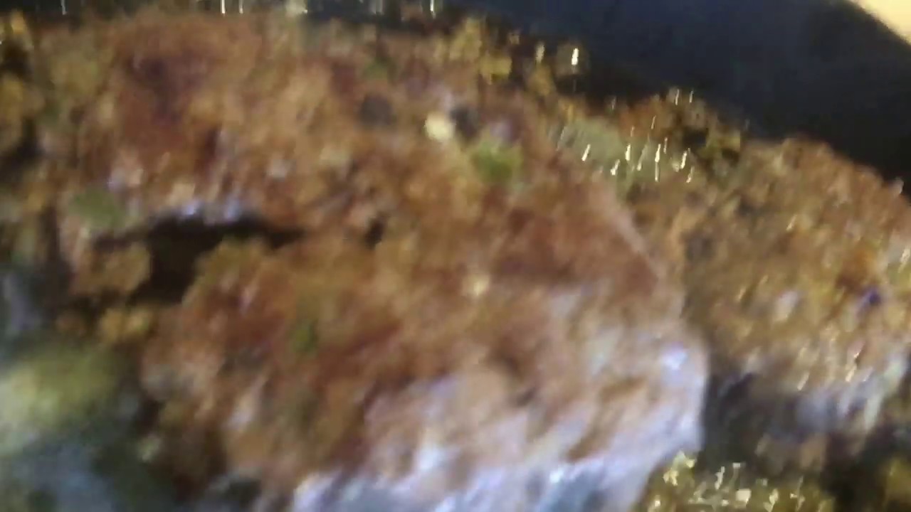 Video thumbnail for Know how to eat when your wife it away!!!