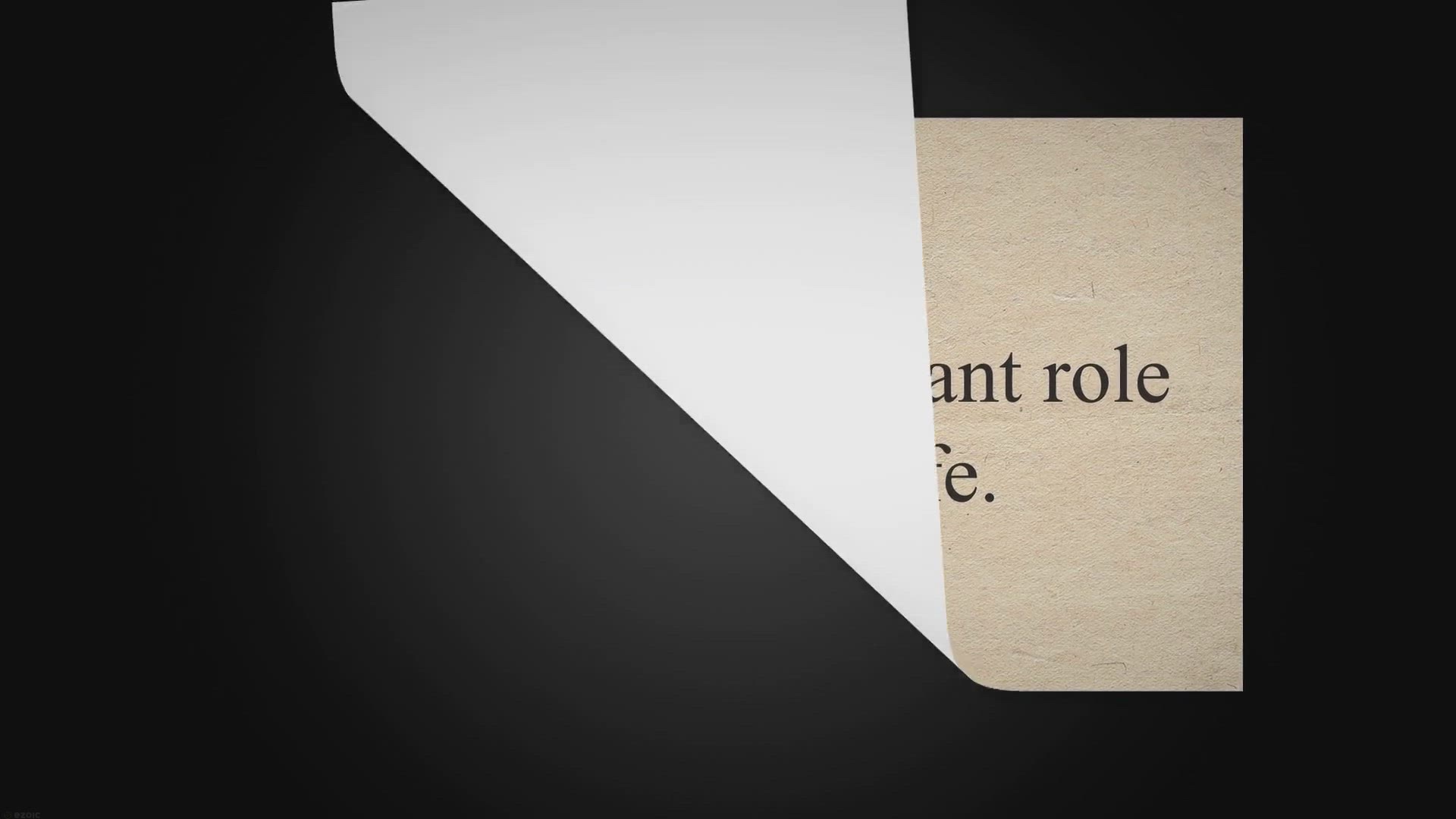 Video thumbnail for Essay Writing on white hint color