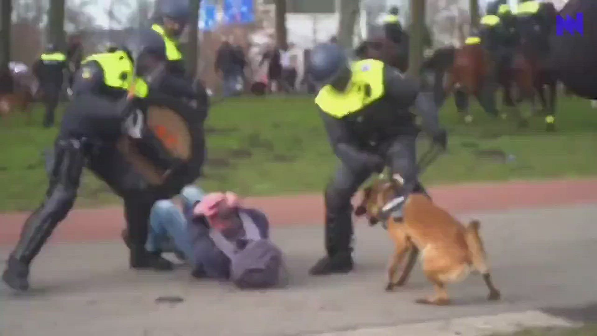 Video thumbnail for Politiegeweld in Nederland, Video geplaatst door Nils Melzer