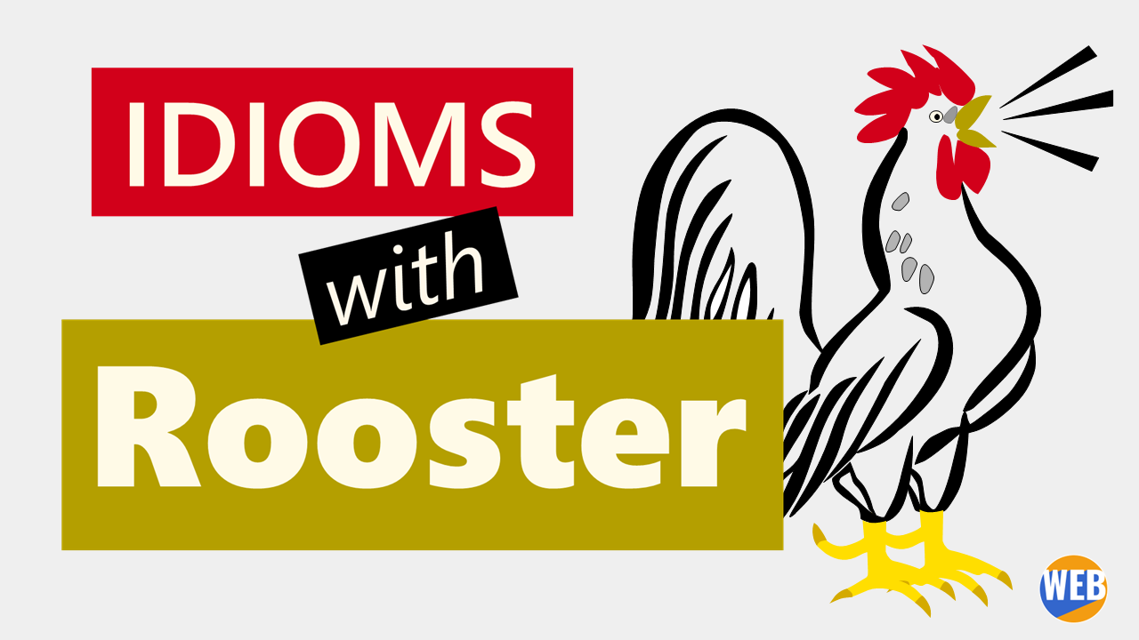 'Video thumbnail for Idioms and expressions with Rooster'