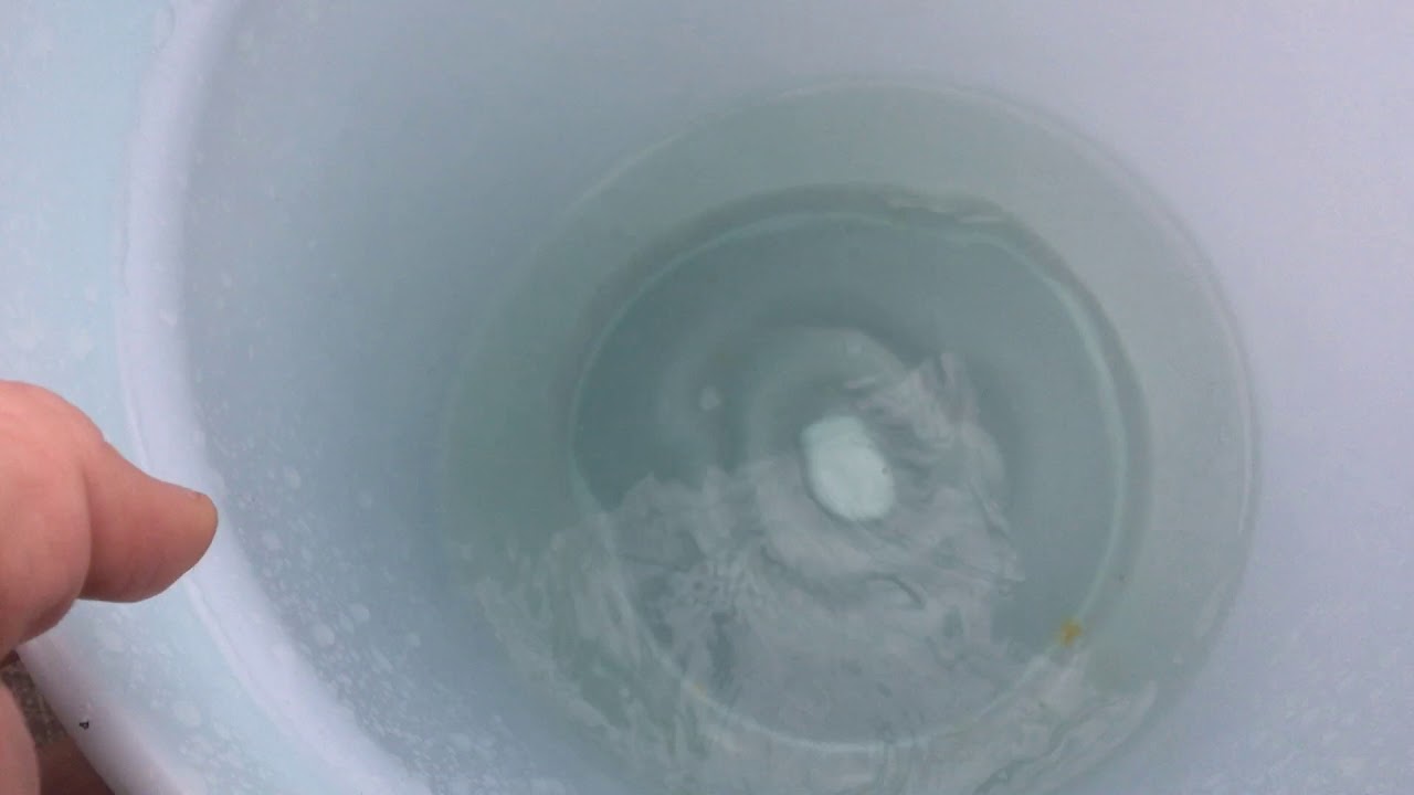 'Video thumbnail for Maple Sap Running And Hellebore In Bloom Day 913 Experimental Homesteader'