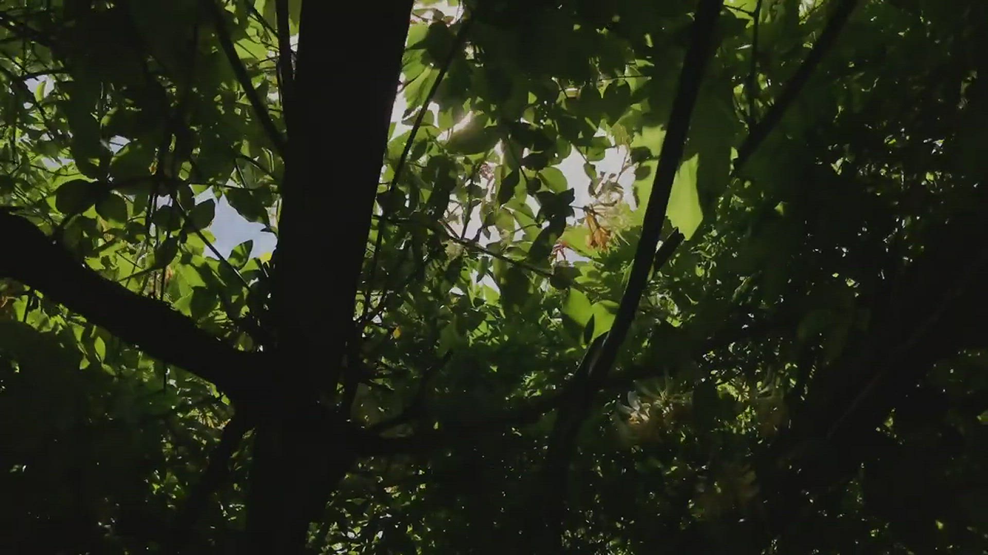 Video thumbnail for Ariya- He Loved My body But Not Me