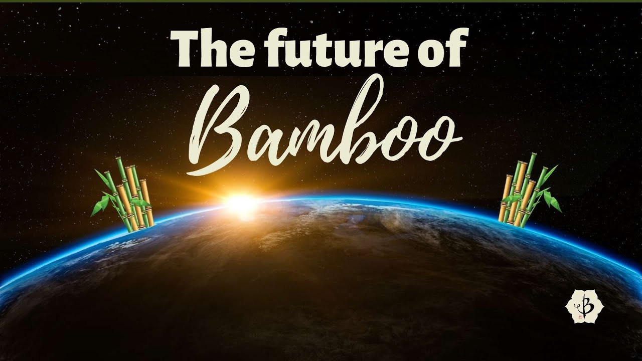 'Video thumbnail for The future of bamboo'