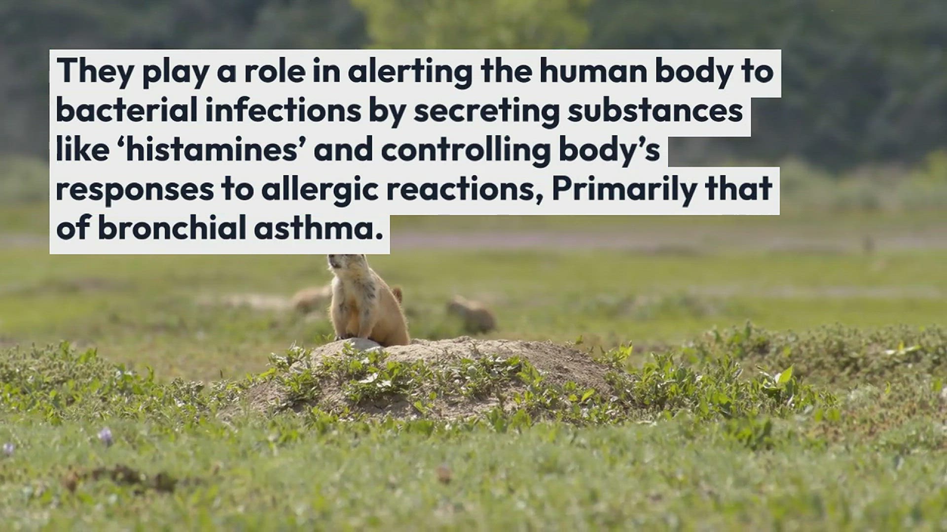 Video thumbnail for Top Lakers vs warriors Secrets