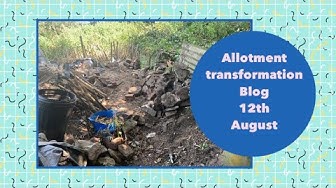 Video thumbnail for 🎥 ✅ Allotment Transformation 🌿✨ | Big Progress & Exciting Changes – August 12th 2020 Update 🌱🏡