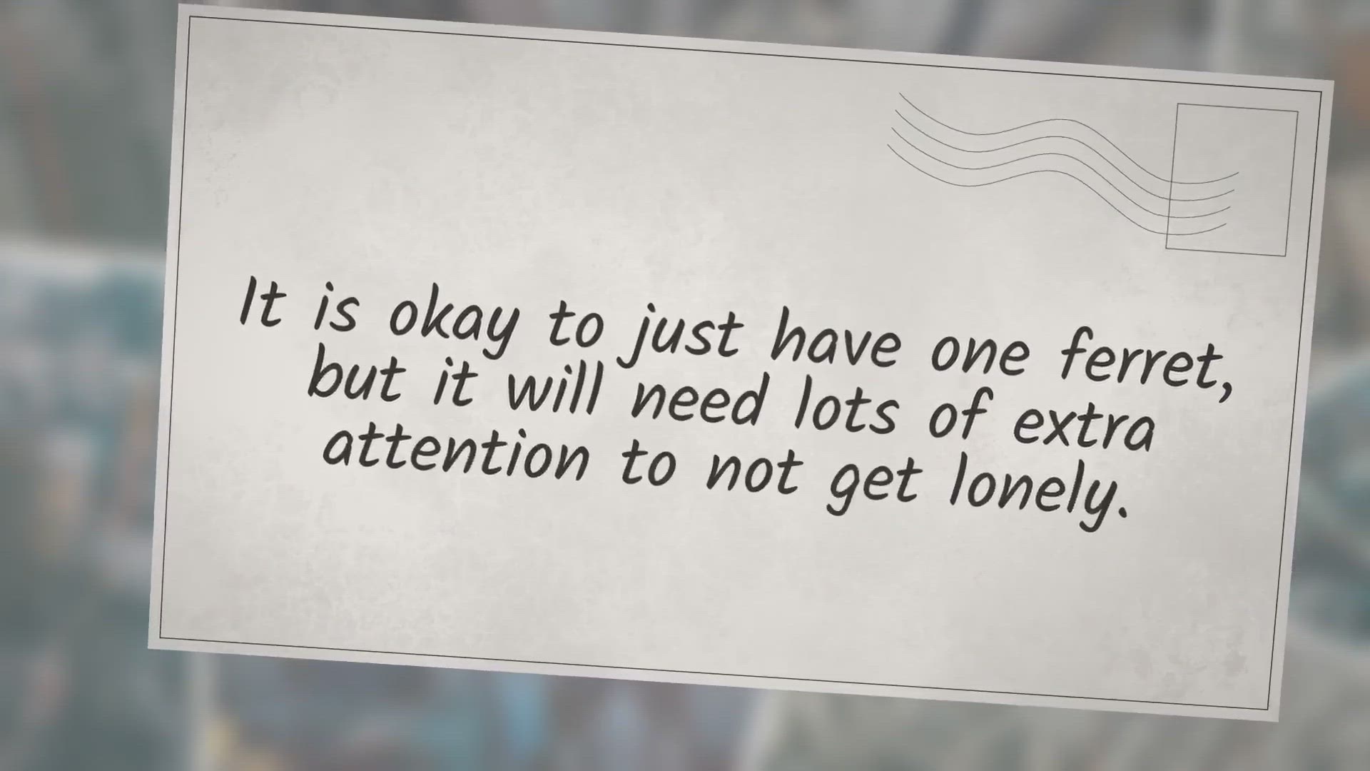 Video thumbnail for Can Ferrets Live Alone? Not Really.