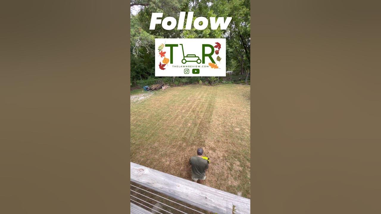 'Video thumbnail for Ultimate FALL Lawn Care Routine: Scalping & Dethatching Grass #shorts #scalping #lawncare'