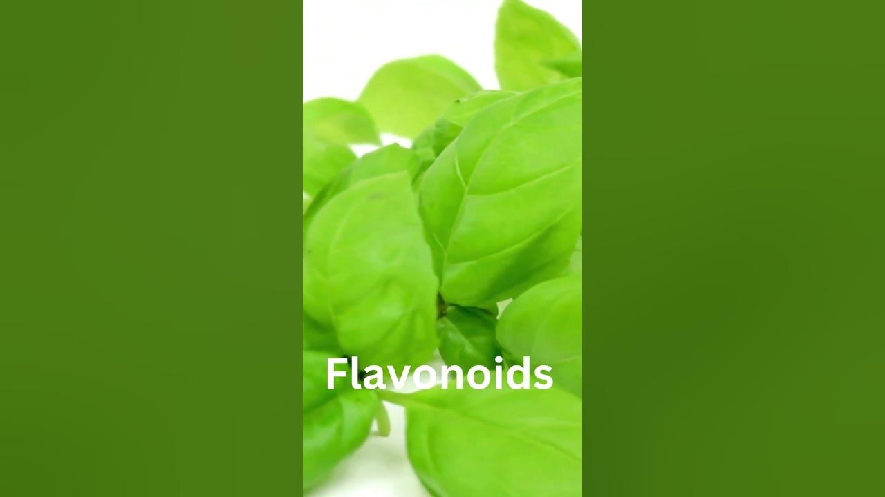 'Video thumbnail for Basil: A Fresh Way to Lower Blood Sugar! #shorts'