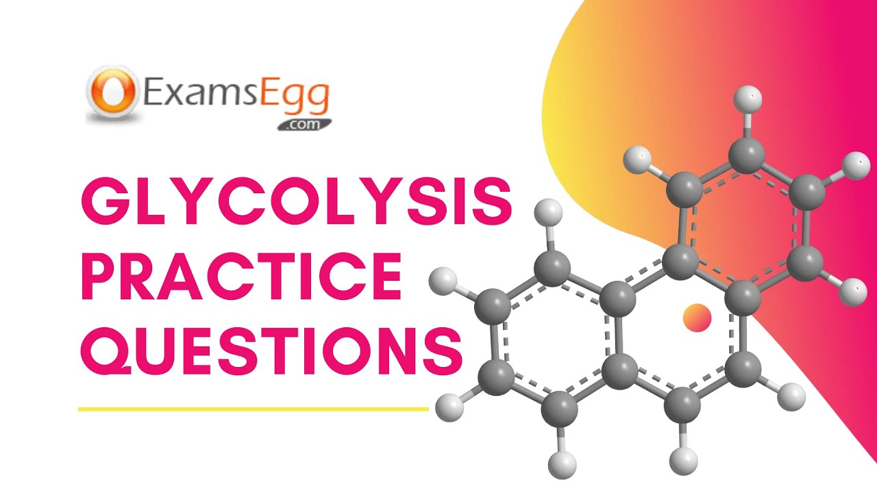 'Video thumbnail for Glycolysis Practice Questions - Examsegg Biology'