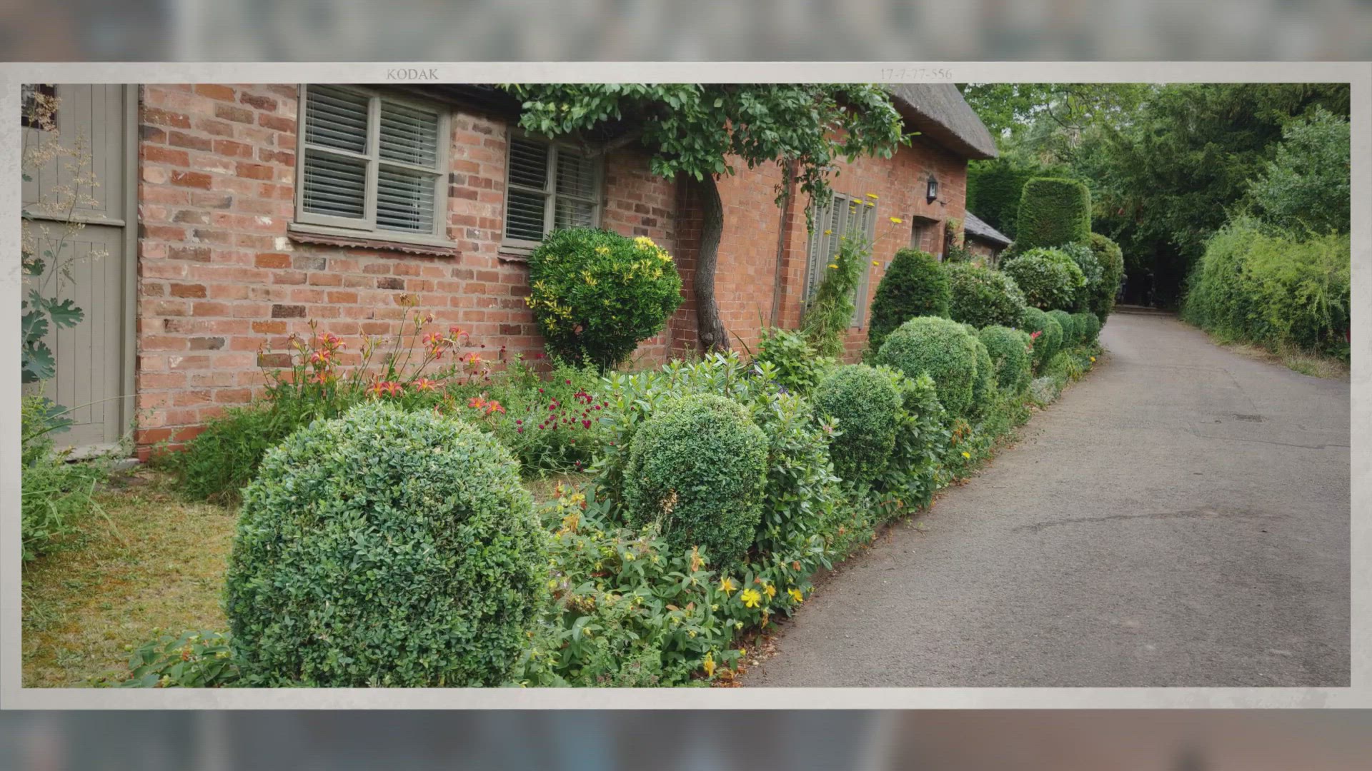 Video thumbnail for Do I Need Planning Permission To Plant Or Remove A Hedge?