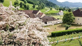 'Video thumbnail for Klostergarten im Stift St Paul im Lavanttal'