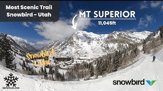 Video thumbnail for Most Scenic Run at Snowbird with 12" of POWDER | 4K | Utah