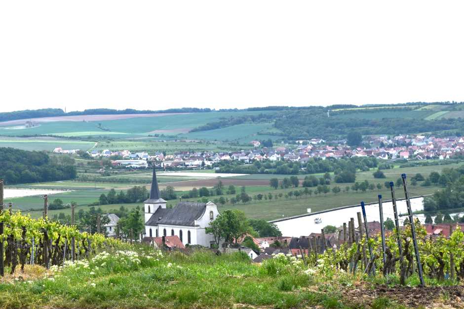 'Video thumbnail for Ein Weinwochenende in Franken'