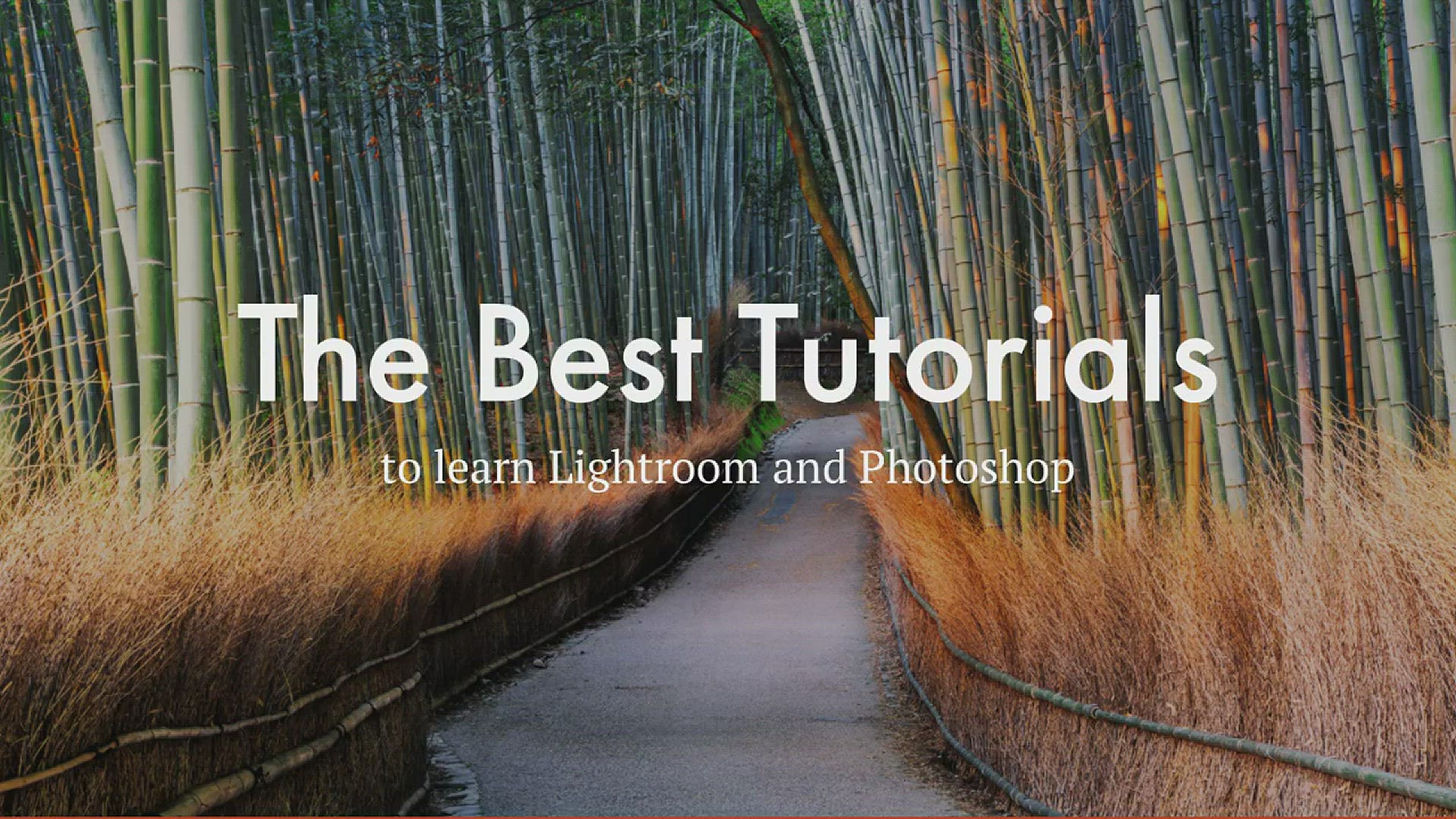 Video thumbnail for The Best Tutorials for Lightroom and Photoshop