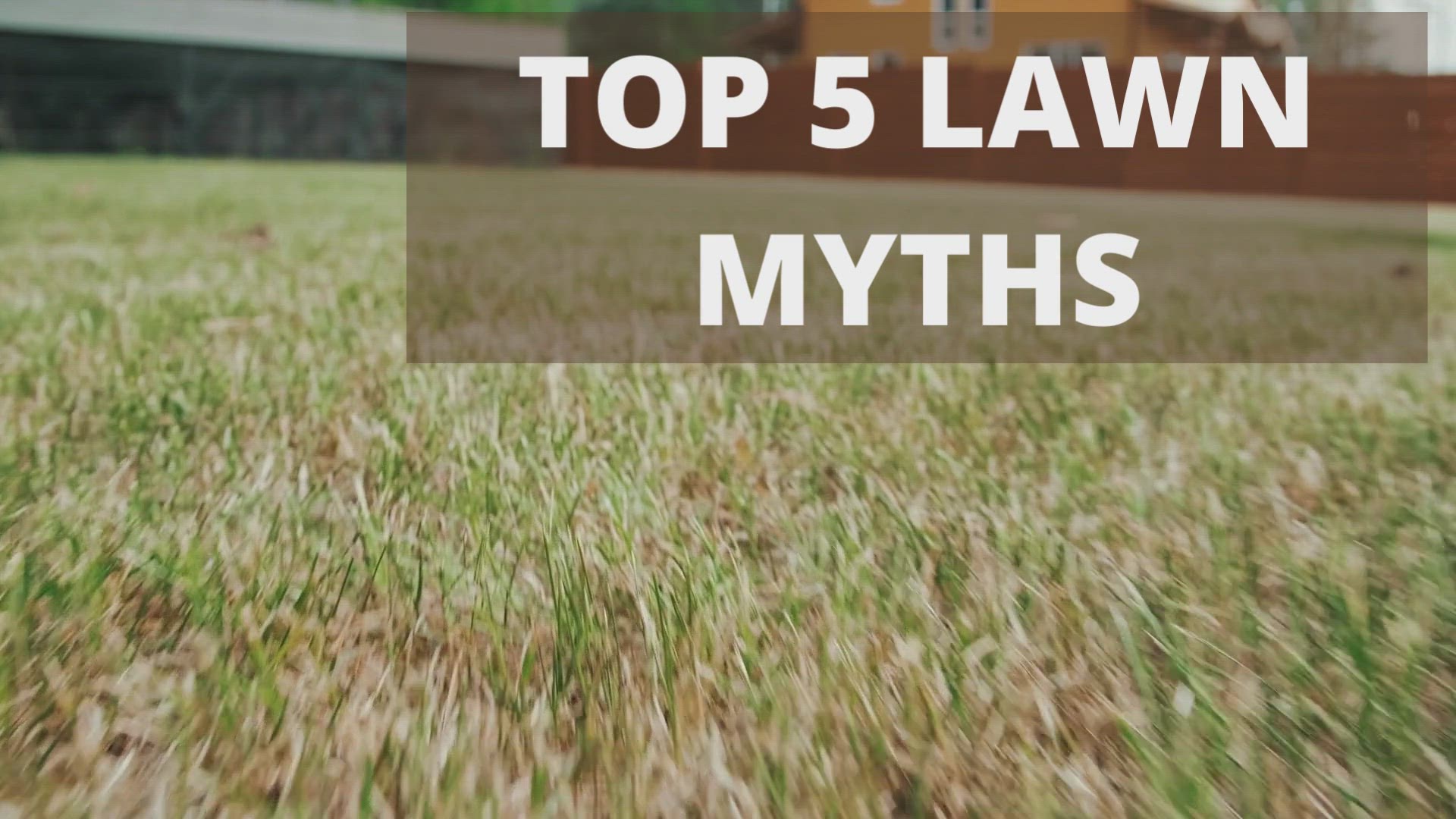 Video thumbnail for Top 5 Lawn Myths