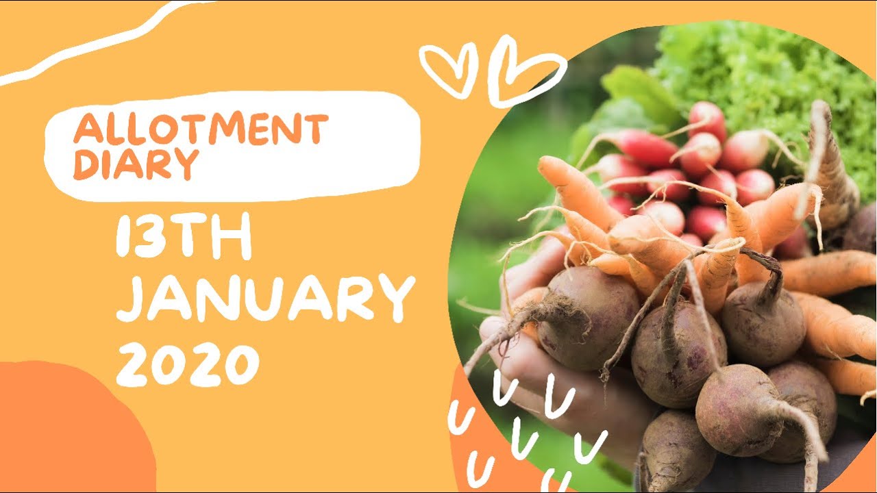 Video thumbnail for 🎥 ✅ Winter Tasks & Smart Planning 🌿❄️ | Allotment & Gardening Diary – January 13th 2020 🌱✨