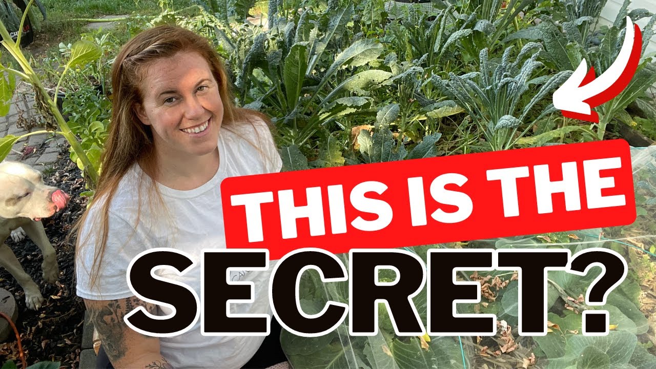 Video thumbnail for The Only 3 Seed Saving Methods You Need! Seed Saving is Key To Higher Yields Year After Year.