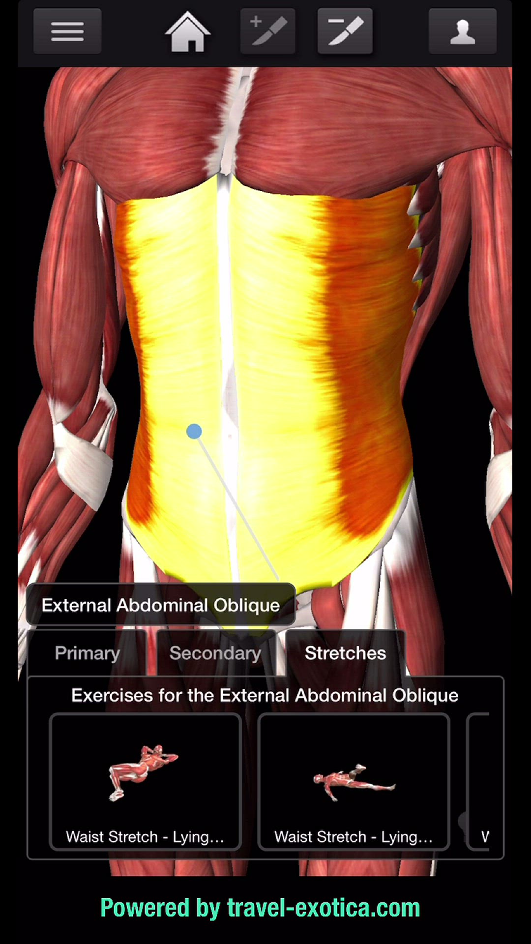 Video thumbnail for Bodybuilding - Abdomen Workouts