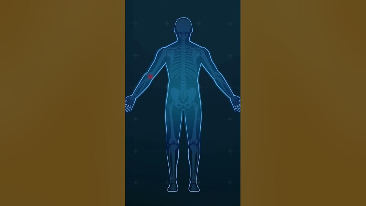 'Video thumbnail for Herbal Healer: The Many Health Benefits of Basil #shorts'
