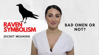 Video thumbnail for Raven Secret Symbolism and Meaning - Is It Bad Omen or Not?