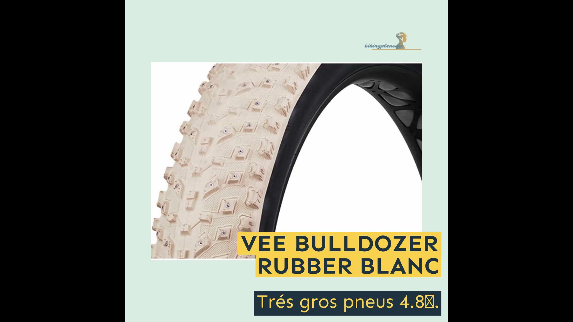 Video thumbnail for MEILLEURS PNEUS FAT BIKE