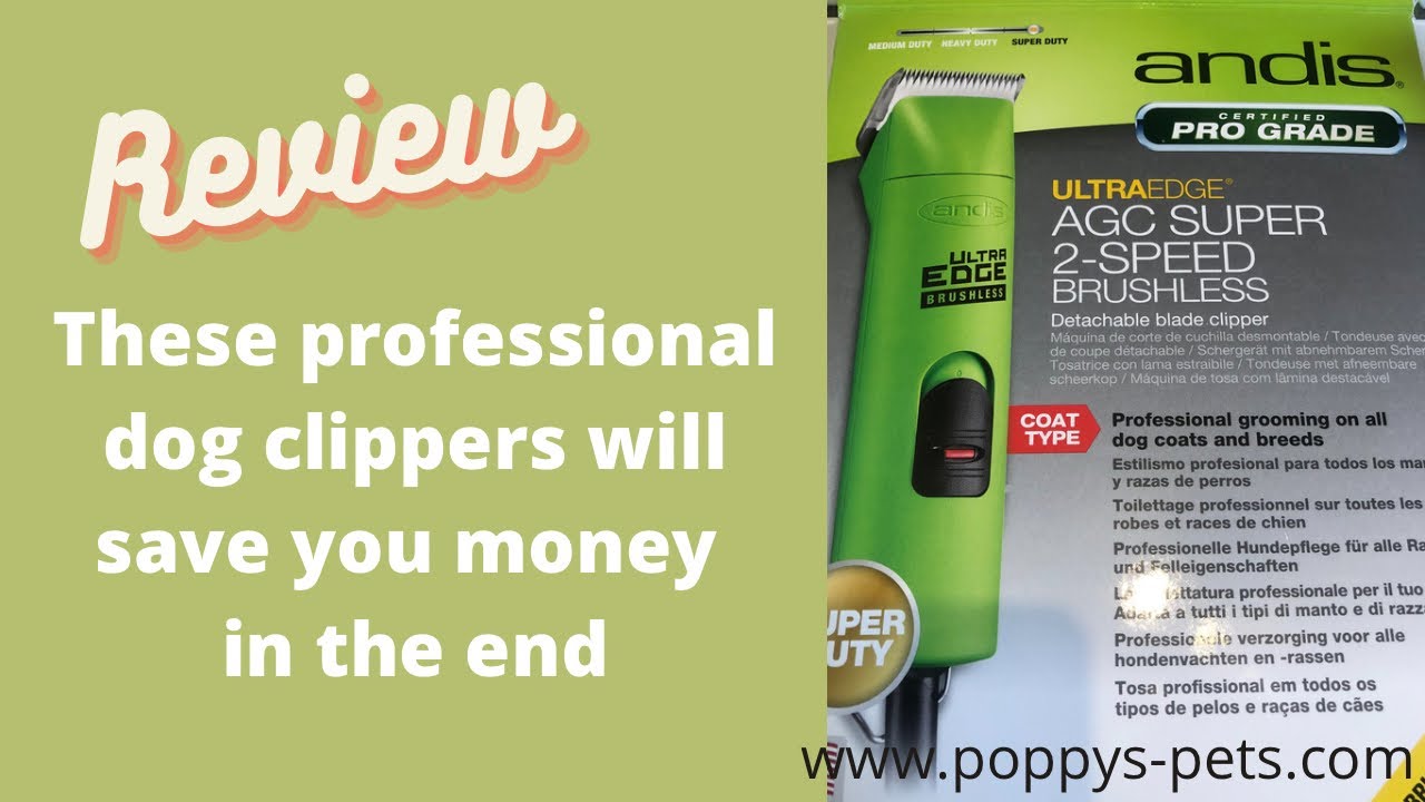'Video thumbnail for Home Dog Grooming Saves Cash: Andis AGC2 UltraEdge Clippers'