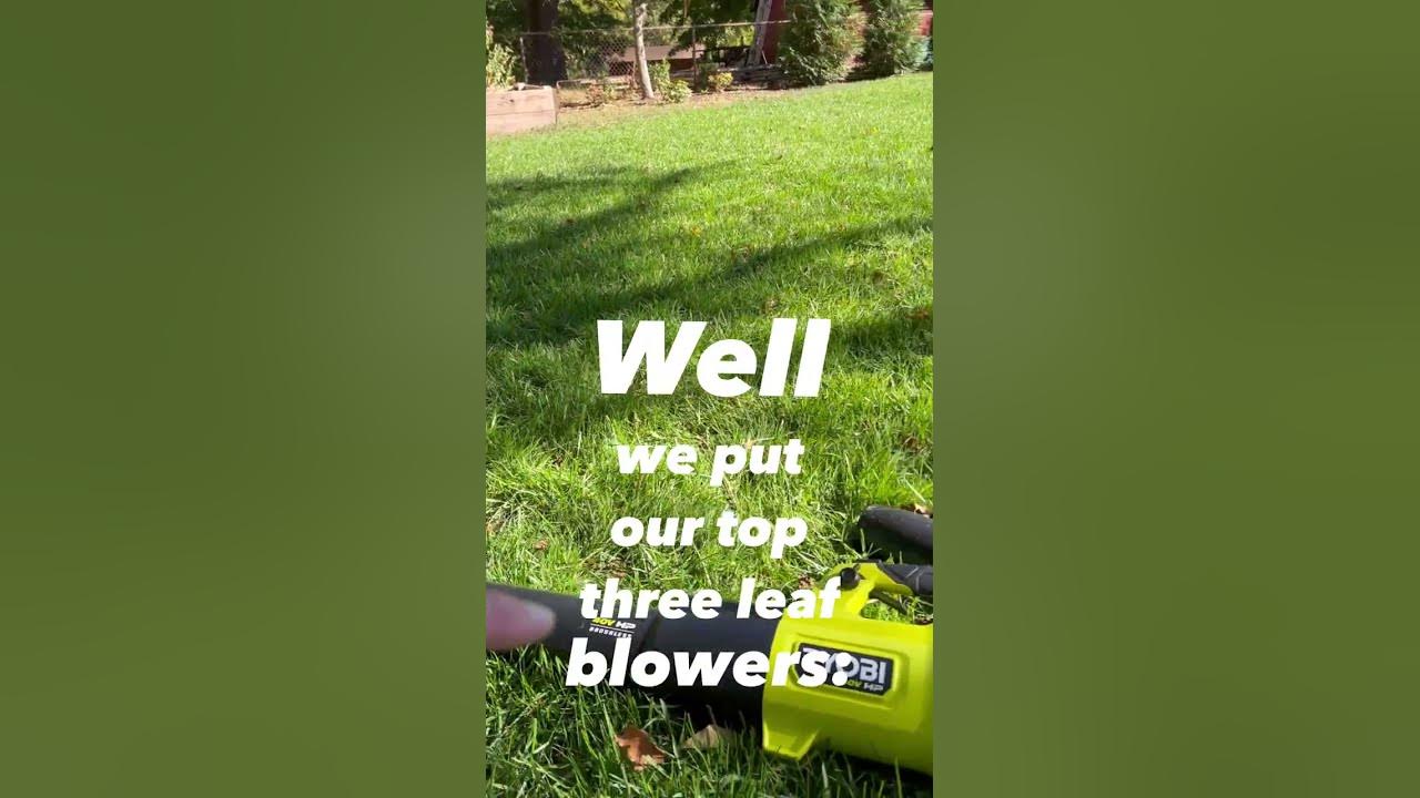 'Video thumbnail for Ultimate Leaf Blower Comparison: EGO 56V vs Greenworks 80V vs Ryobi 40V #shorts'