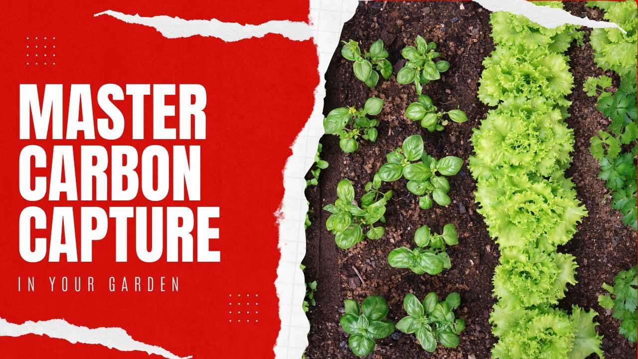 'Video thumbnail for How Much CO2 Does Your Garden Capture? How To Maximize Carbon Sequestration & Increase Yields'