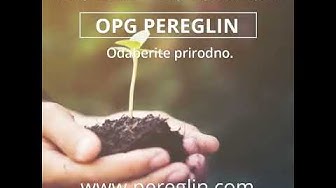 Video thumbnail for OPG pereglin flanci