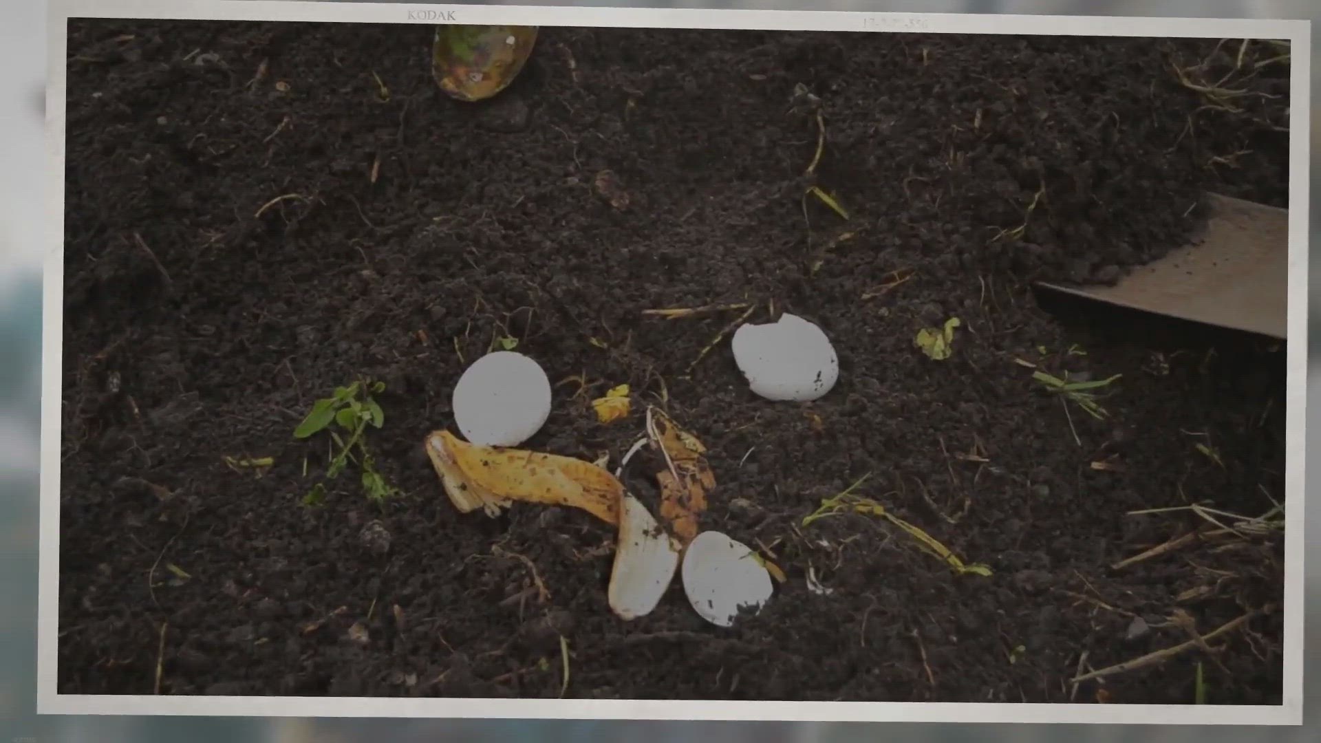Video thumbnail for What is compost, its types and how to make compost at home