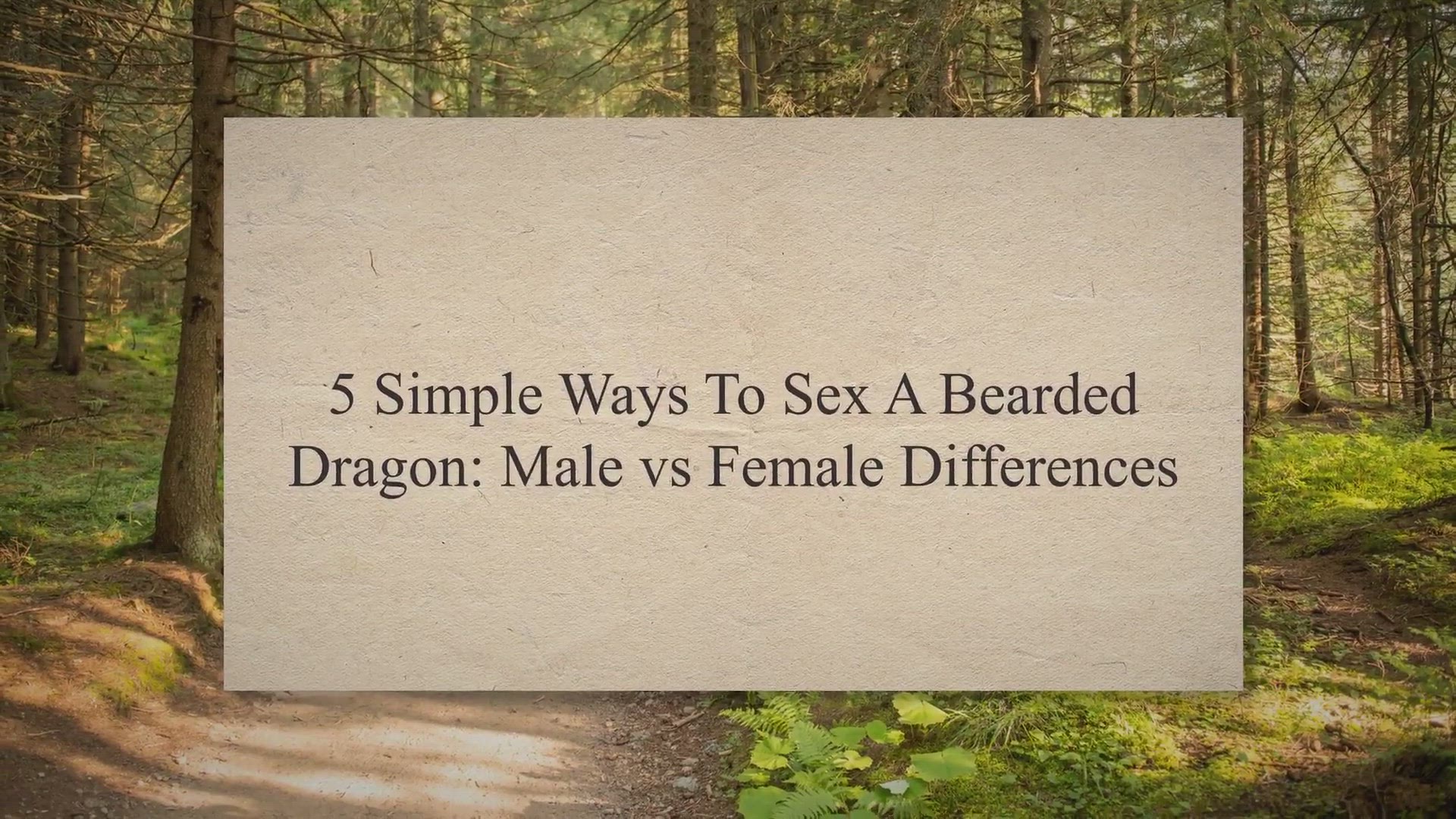Video thumbnail for 5 Simple Ways To Sex A Bearded Dragon: Male vs Female Differences