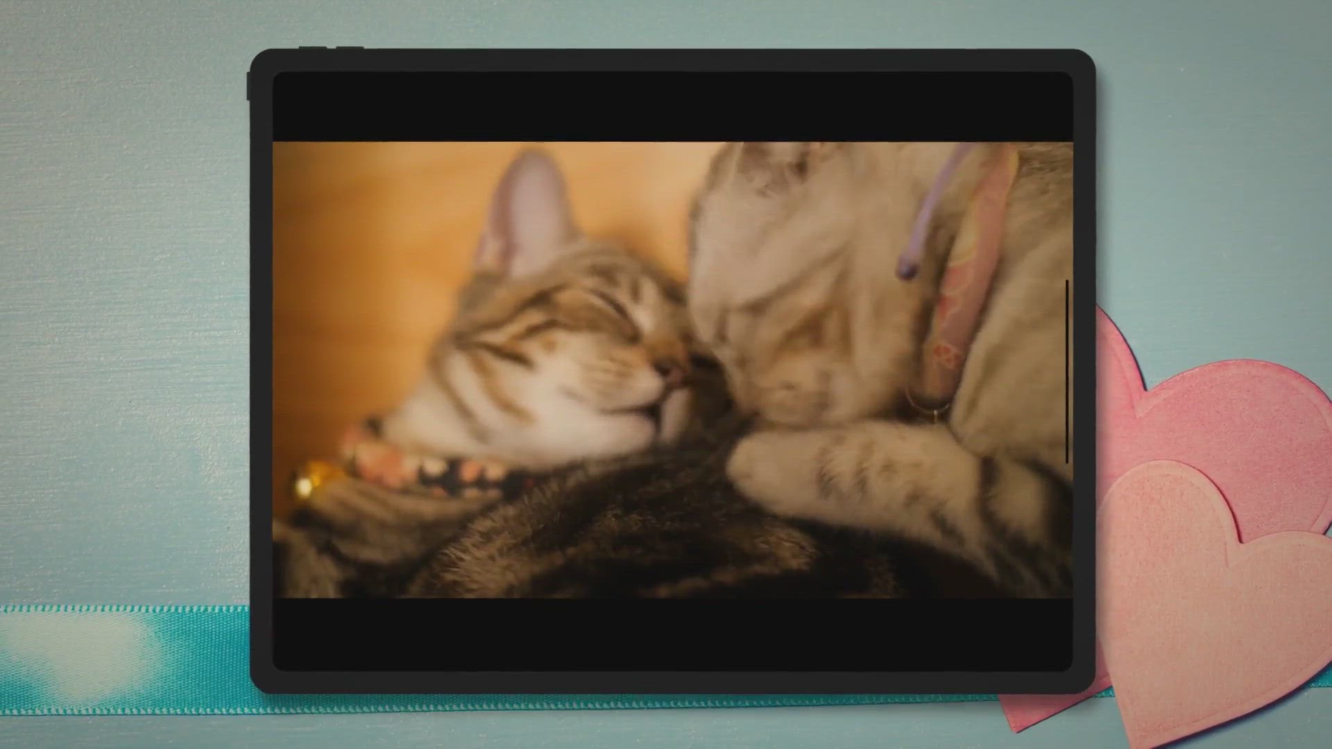 Video thumbnail for 🐱 WHAT To Do If Your Cat LICKS Or EATS TOOTHPASTE?