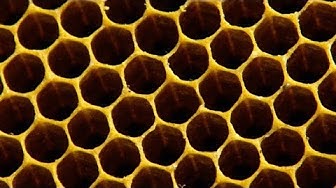 Video thumbnail for Doğa Altıgenleri Neden Sever?