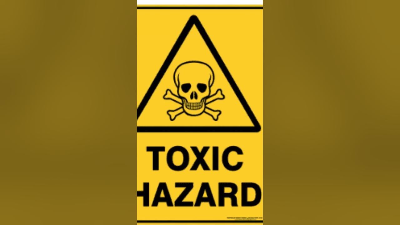 Video thumbnail for Is The Jade Plant Toxic to Humans and Pets? 4 Facts You Need To Know Before You Have It (2023)