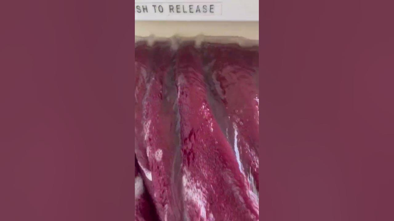 Video thumbnail for Cleaning  blanket and wringing it #speedqueen87