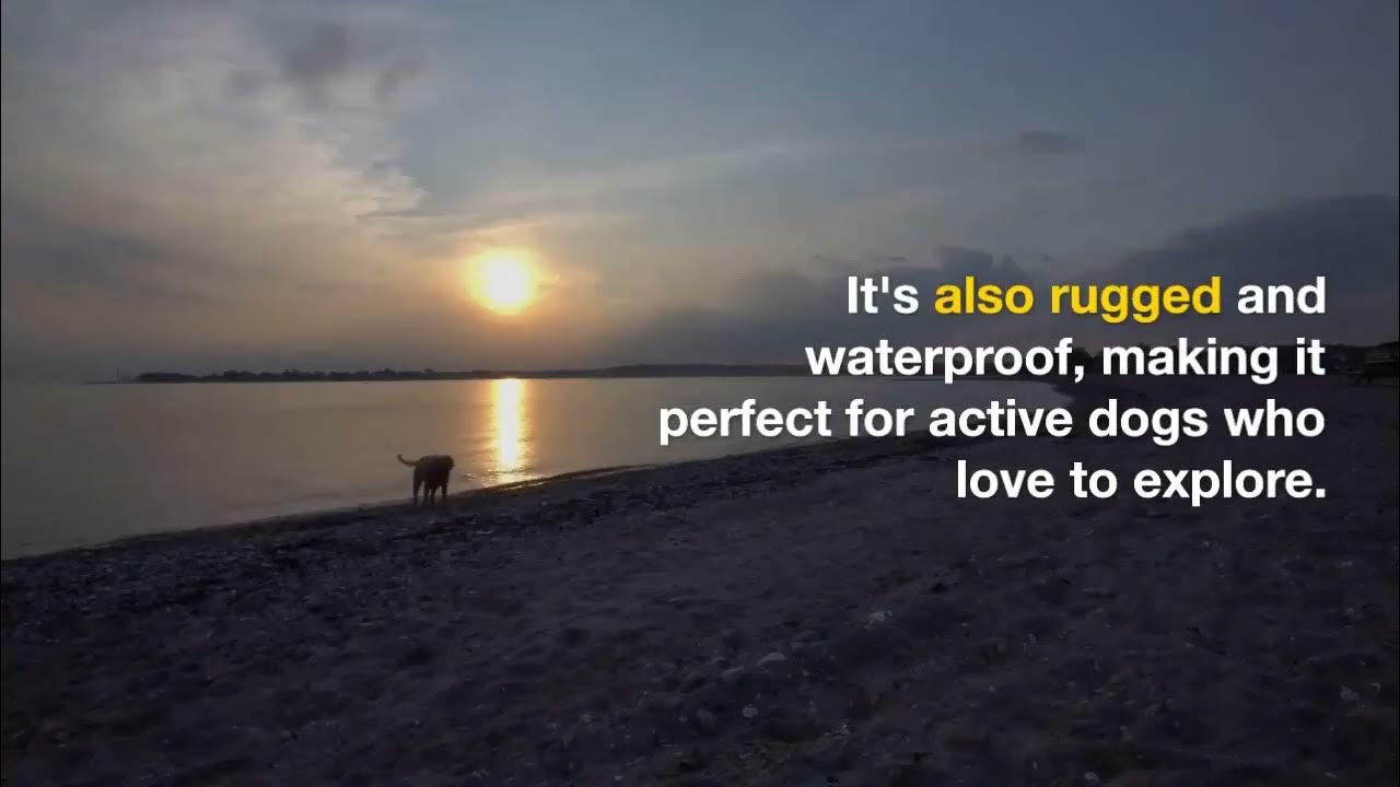 Video thumbnail for Discover the Best Apple Dog Tracker for Keeping Your Pet Safe and Secure