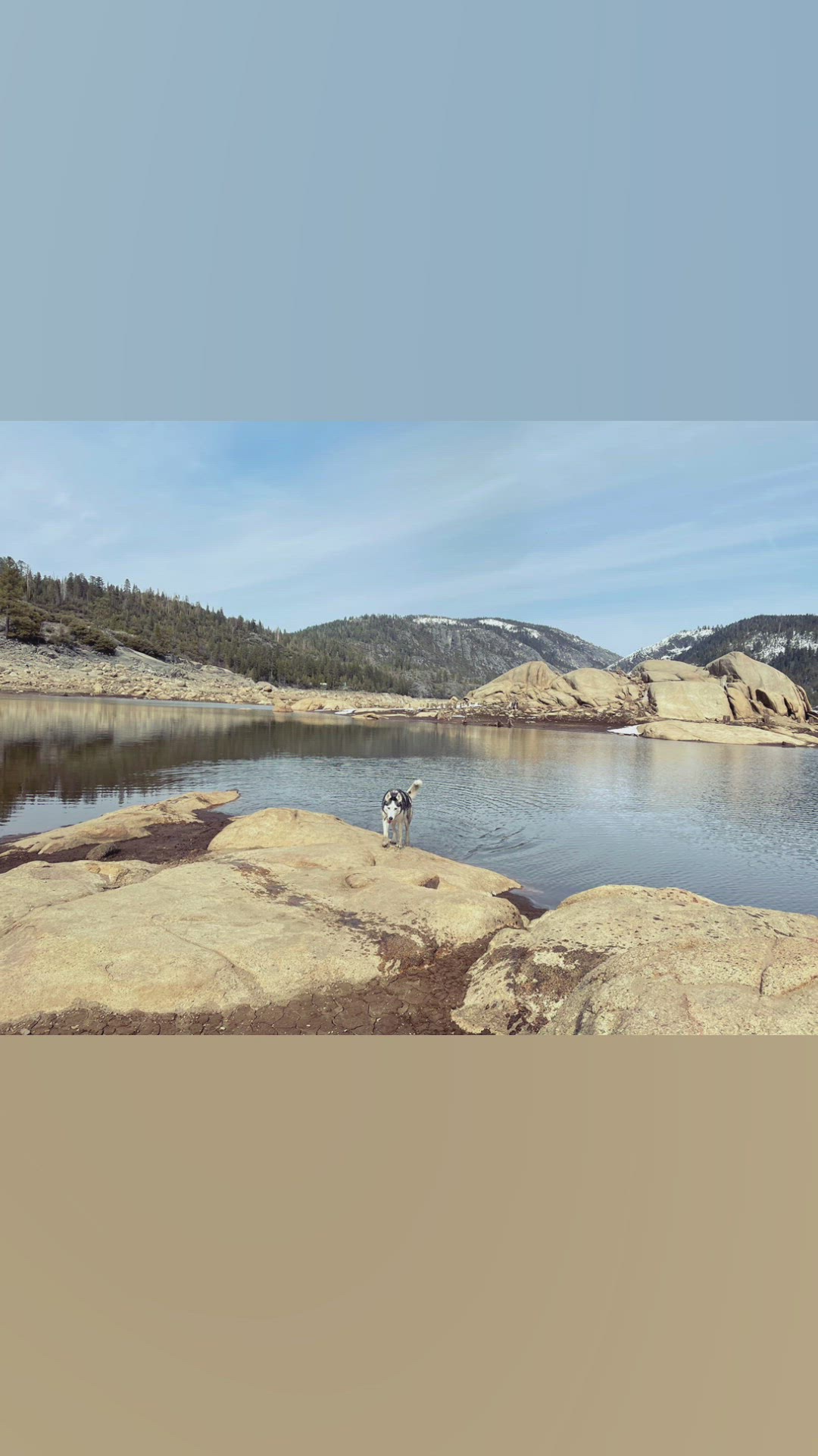 Video thumbnail for Stanislaus - 2021