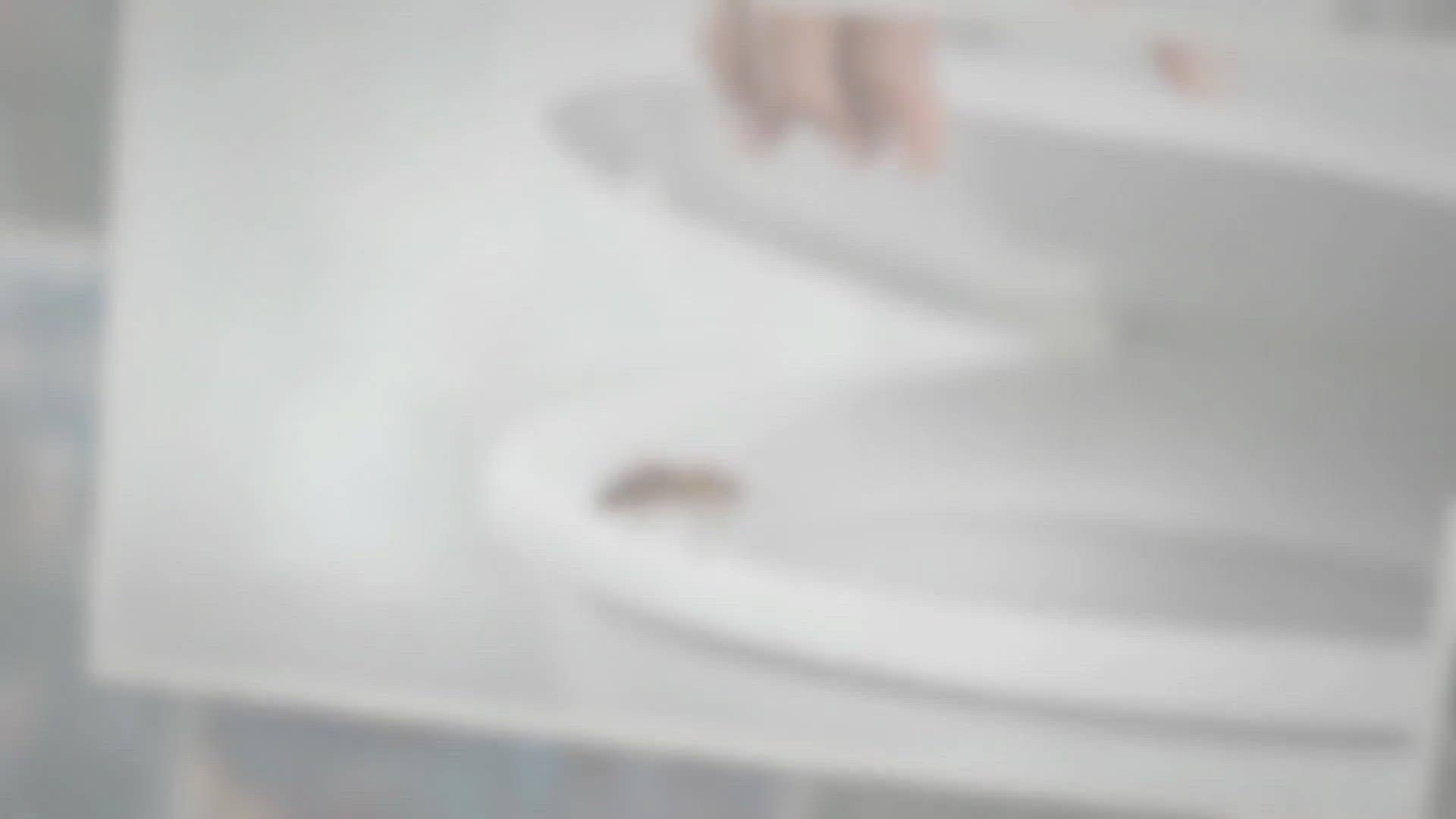 Video thumbnail for What Does Bee Poop Look Like?