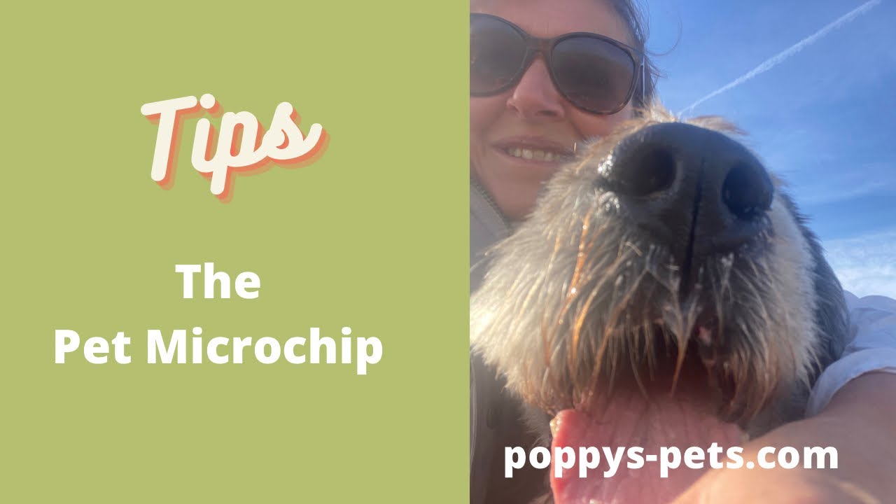 'Video thumbnail for Basics of The Microchip UK: Is Your Chip Company Legal? Free Updates? '