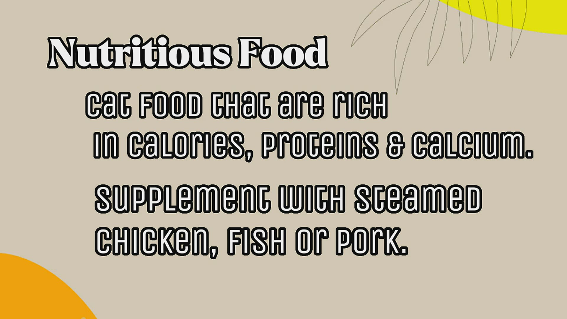 Video thumbnail for What Pregnant Cats Need ?