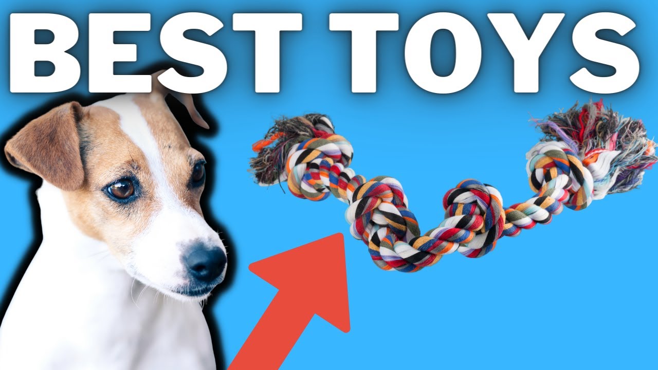 Video thumbnail for Best Toys For Jack Russell Terriers (Best Options, What To Avoid and My Personal Favorites)