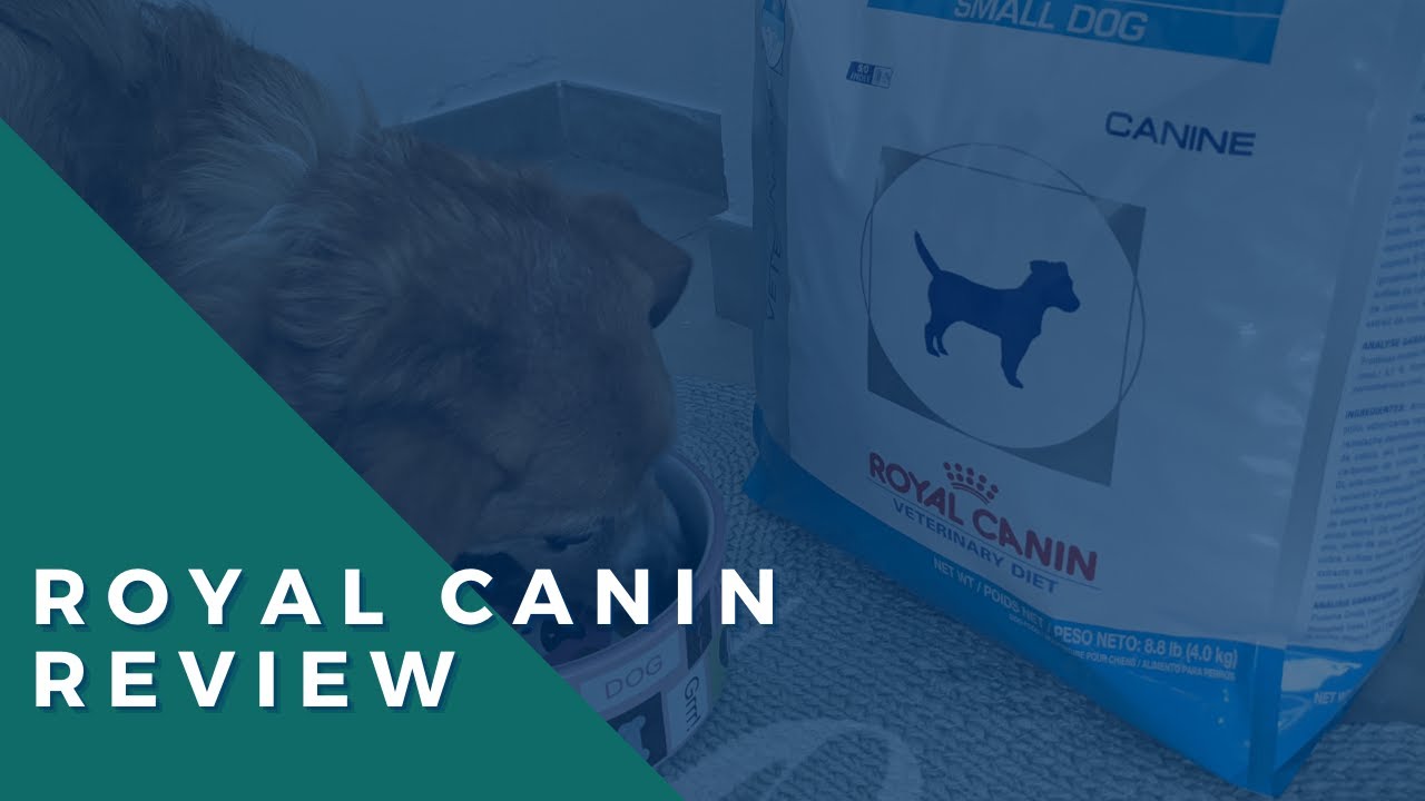 Video thumbnail for Royal Canin Hydrolyzed Protein Review: This Food Saved My Dog's Life