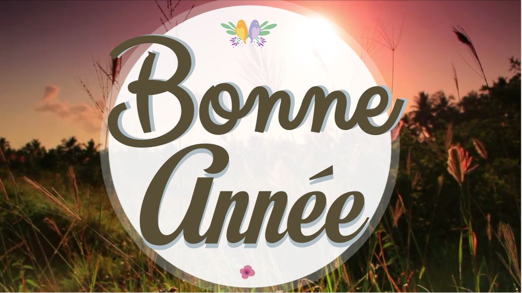 'Video thumbnail for Carte virtuelle de voeux 2023 - Vidéo de bonne Année 2023'
