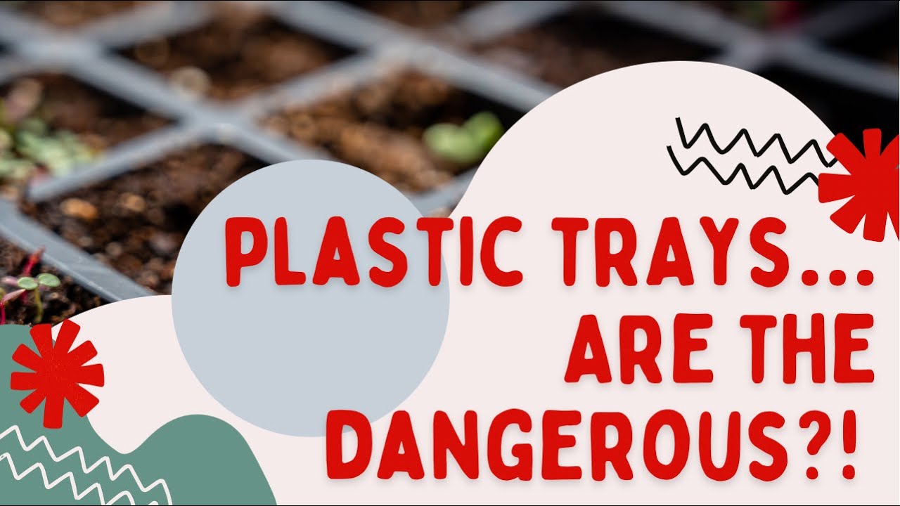 Video thumbnail for Do Plastic Trays Leach Plastic Into Our Soil & Eventually Our Plants? Seed Starting In Canada